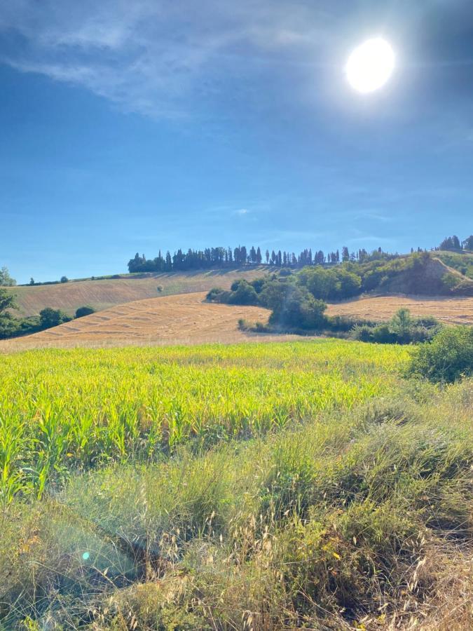 Agriturismo I Moricci Peccioli Exterior photo